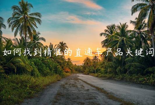 如何找到精準(zhǔn)的直通車產(chǎn)品關(guān)鍵詞